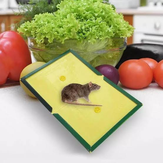 Mouse Pad